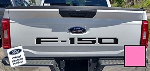 Decal Mods 2021-2025 F150 Tailgate Insert Decals Letters Inlays Indent Stickers (Thin Decals NOT Raised Letters) for Ford F150 (2021-2025) Chrome - CCHR in Saudi Arabia