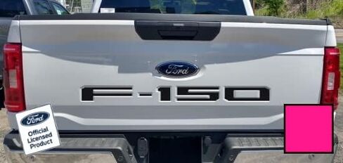 Decal Mods 2021-2025 F150 Tailgate Insert Decals Letters Inlays Indent Stickers (Thin Decals NOT Raised Letters) for Ford F150 (2021-2025) Chrome - CCHR in Saudi Arabia