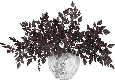 SGGVECSY 3 Pack 17.7 '' CIMICIFUGA LEAF LEAF LEACK in Saudi Arabia