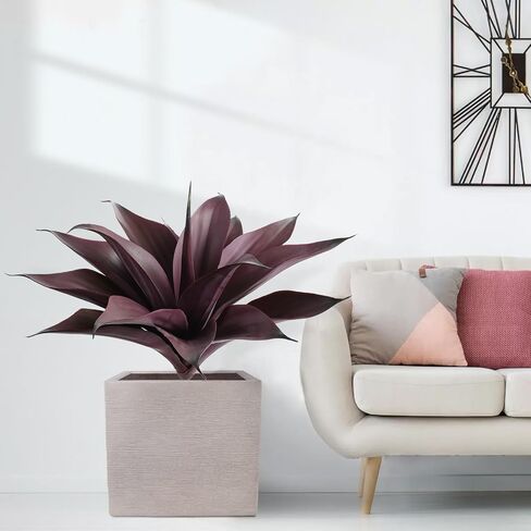 2Pcs Artificial Agave Plants, UV Resistant Fake Agave Plants for Home, Office, Bathroom, Bedroom, Kitchen, Farmhouse, Bookshelf Decor, Low Maintenance Indoor Greenery in Saudi Arabia
