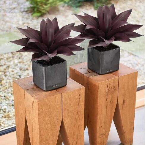 2Pcs Artificial Agave Plants, UV Resistant Fake Agave Plants for Home, Office, Bathroom, Bedroom, Kitchen, Farmhouse, Bookshelf Decor, Low Maintenance Indoor Greenery in Saudi Arabia