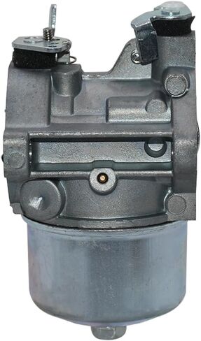 692684 Carburetor for 497581 495778 494881 494883 494894 495782 495784 499074 499158 696461 697594 Compatibility 194702 195707 176432 254707 286702 With Air Filter 194702 195707 in Saudi Arabia