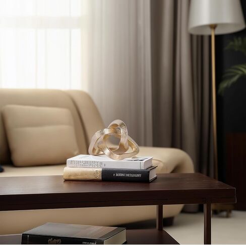 DOVDOV Orange Infinity Knot Decorative Sculpture, Orange dividers Decorative Aesthetics, Room Living Room tv Cabinet Office Cabinet Coffee Table Above Decorative Ornament Irregular Knot Decor. in Kuwait