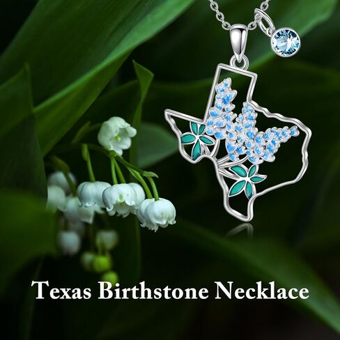 Texas Necklace 925 Sterling Silver Texas State Map Flag Pendant Hometown Bluebonnets Jewelry Texas Gifts for Women Love TX in Kuwait