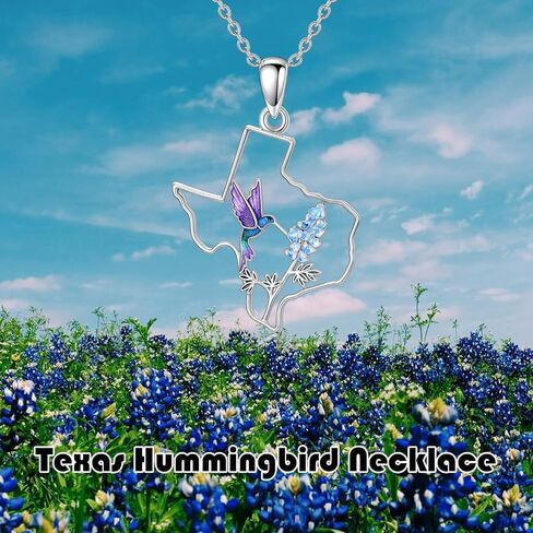 Texas Necklace 925 Sterling Silver Texas State Map Flag Pendant Hometown Bluebonnets Jewelry Texas Gifts for Women Love TX in Kuwait