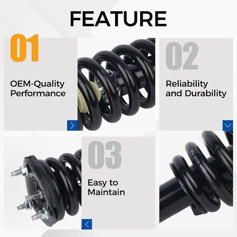 Parod Front Abrard Absorber Strut for 2005-2009 Dodge Dakota ، 2006-2009 Mitsubishi Raider ، 4WD استبداله لـ 171100 in Saudi Arabia