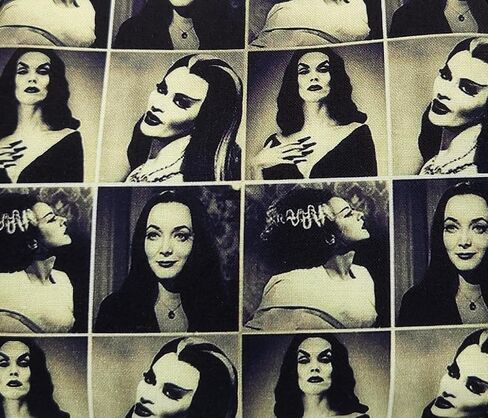 محفظة Gothic Ghoul Girl ، Vampira ، Morticia Addams ، Lily Munster ، عروس فرانكشتاين ، حقيبة مكياج القوطي ، هدية لها in Saudi Arabia