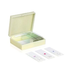 Vision Scientific VSH127 Prepared Slide Set – Hair Type (Set of 9) | Specimens are Cover Slip Sealed | Slotted Slide Case for Convenient Storage | Ideal Set for High School Observation