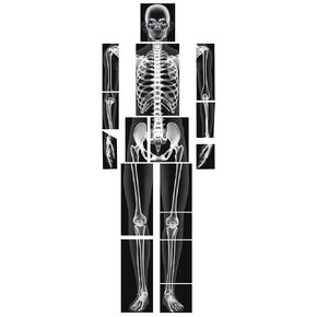 16 Pieces Human X Rays Bones X Rays Human Xrays for Kids Human Bones Body Display Play Table, Black and White