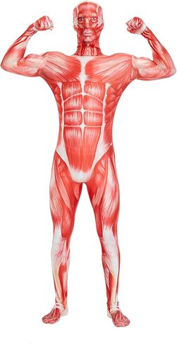 Unisex Spandex Stretch Adult Costume Disappearing Man Body Suit in Saudi Arabia