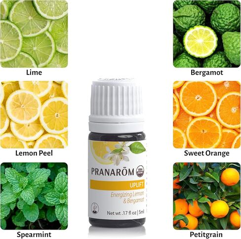 Pranarom - مزيج الزيت الأساسي للسلام (5 مل) - لافندر ، روزماري ، كلاري حكيم ، صنوبر ، سيداروود ، هيل - زيت أساسي بنسبة 100 ٪ لتوفير الوضوح والتهدئة | وزارة الزراعة الأمريكية و Ecocert معتمدة العضوية in Kuwait