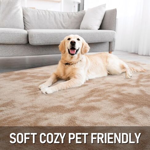 السجادة الكبيرة في منطقة الحوتا ، سجاد شاج رمادي رمادي رمادي رمادي فاتح in Kuwait