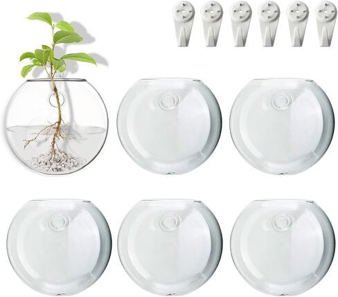 Wall Mount Plant Propagation Station - Clear Hydroponic Glass Vase, Oblate Planter for Indoor Plants | Perfect for Home, Office, Bathroom Decor | Gift for Plant Lovers (4) in Saudi Arabia