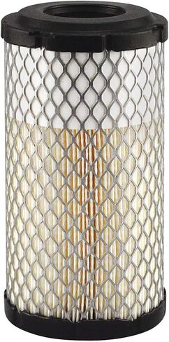 Baldwin RS5273 Heavy Duty Air Filter in Saudi Arabia