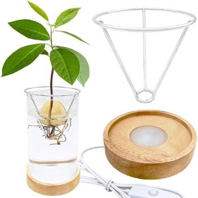Avocado Vase, Avocado Seed Starter Vase with Wood Multicolor LED Light Base, Avocado Growing Kit with Plant Support, Acorn vase, propagation stations for Forcing Hyacinth and Tulip Bulbs(Black) in Saudi Arabia