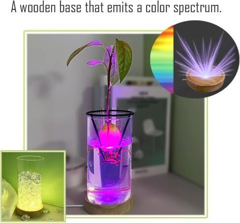 Avocado Vase, Avocado Seed Starter Vase with Wood Multicolor LED Light Base, Avocado Growing Kit with Plant Support, Acorn vase, propagation stations for Forcing Hyacinth and Tulip Bulbs(Black) in Saudi Arabia
