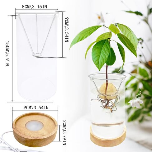 Avocado Vase, Avocado Seed Starter Vase with Wood Multicolor LED Light Base, Avocado Growing Kit with Plant Support, Acorn vase, propagation stations for Forcing Hyacinth and Tulip Bulbs(Black) in Saudi Arabia