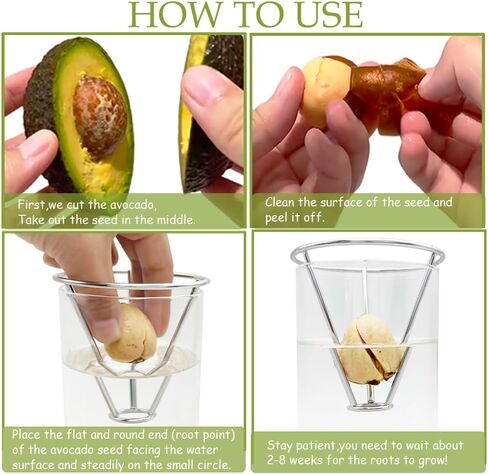 Avocado Vase, Avocado Seed Starter Vase with Wood Multicolor LED Light Base, Avocado Growing Kit with Plant Support, Acorn vase, propagation stations for Forcing Hyacinth and Tulip Bulbs(Black) in Saudi Arabia
