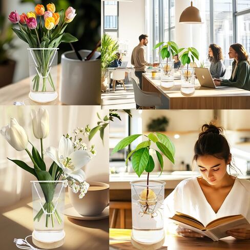 Avocado Vase, Avocado Seed Starter Vase with Wood Multicolor LED Light Base, Avocado Growing Kit with Plant Support, Acorn vase, propagation stations for Forcing Hyacinth and Tulip Bulbs(Black) in Saudi Arabia