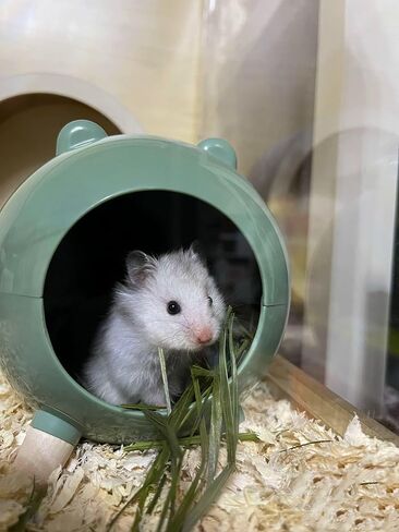 TUTU&LELE Hamster Hideout, Tiny House Hideout and Habitat, Space Elf Hiding Nest, Durable Hamster Bed with Round Thick Plush Pads, for Mice, Gerbils,Hamsters to Play, Sleep and Rest (Purple) in Saudi Arabia