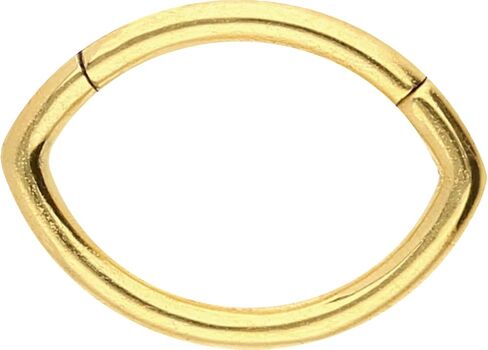 PIERCINGLINE 16G Surgical steel 316L Hinged Segment Ring | OVAL | Septum Helix Tragus Cartilage Daith Ear Piercing Jewelry - Gold - Rose Gold - Silver - Black in Saudi Arabia