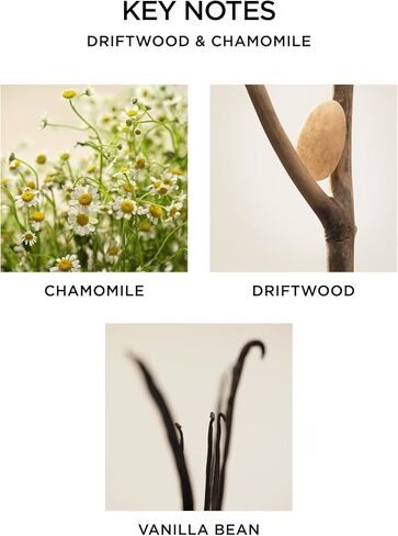 NEST New York Scented 3-Wick Candle, Sunlit Yuzu & Neroli - 21.2 oz - Up to 100-Hour Burn Time - Reusable Glass Vessel in Kuwait