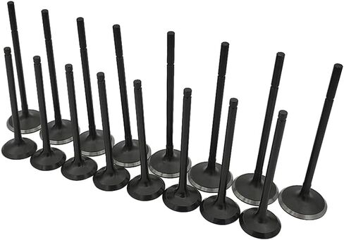 Engine Intake and Exhaust Valves Kit Fits for Jaguar XKR XJR XJ XF XE F-Type for Land Rover Range Rover Velar LR4 2010-2020 5.0L LR010863, LR010698 in Saudi Arabia