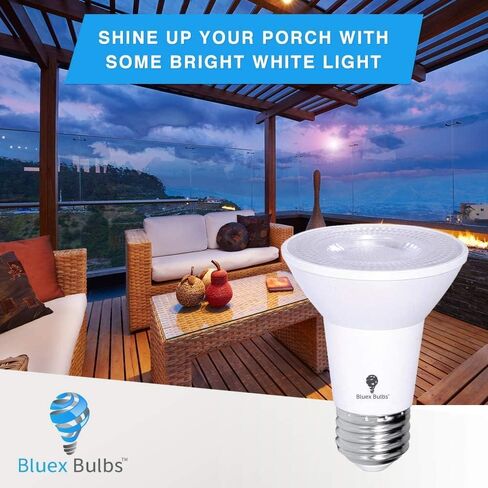 4 Pack PAR20 LED Flood Dusk to Dawn Light Bulbs Outdoor Photocell Sensor 8W 65 Watt Equivalent 700Lumens Waterproof E26 5000K Cool White Super Bright Auto On/Off Security Spotlight Indoor/Outdoor in Saudi Arabia