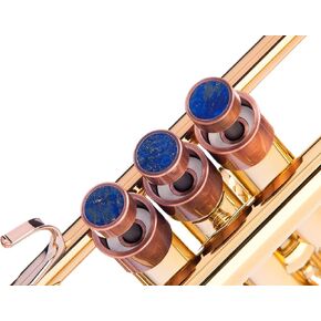 HEAVY Trumpet custom finger buttons for all Yamha (All YTR), Stomvi, Shagerl, Carol Brass and Fides Trumpets, Yamaha flugelhorn 631/731, Yamaha cornet models (24K Gold Plated, Charoite)
