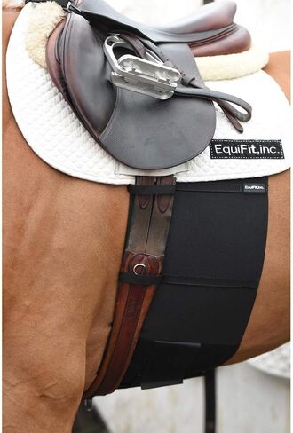 حزام بطن EquiFit لحماية المهماز in Kuwait