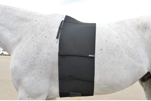 حزام بطن EquiFit لحماية المهماز in Kuwait