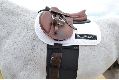 حزام بطن EquiFit لحماية المهماز in Kuwait