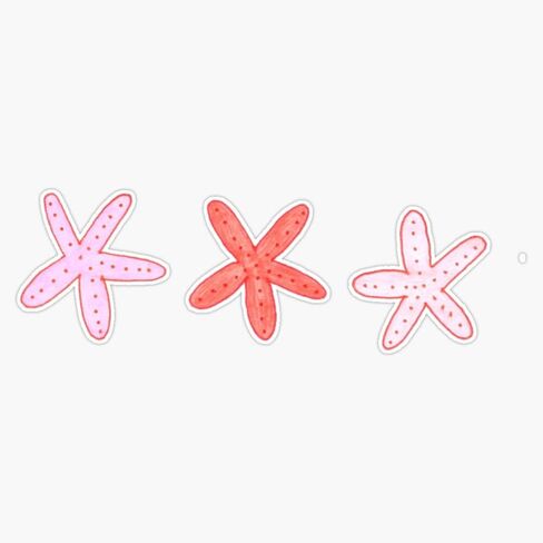 Starfish Vinyl Waterproof Sticker Decal Car Laptop Wall Window Bumper Sticker 5" in Saudi Arabia