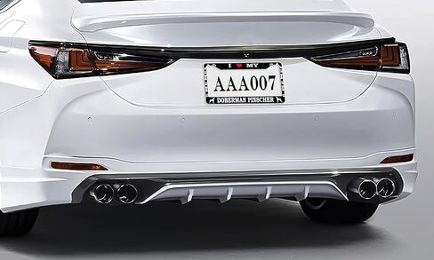 Larkverk Celestial Moon Phases License Plate Frame Decorative Aluminum Car Tag Cover Frames Stainless Metal License Plate Holder for Women Men Auto Accessories 2 Holes US Standard 12''x6'' in Saudi Arabia