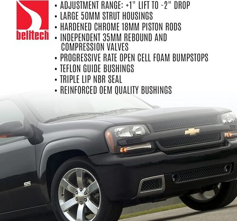 Belltech 25011 Lowering and Lifting Shock in Saudi Arabia
