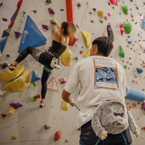 Sheep Chalkbag for Rock Climbing in Saudi Arabia