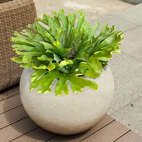 Casktcom® Large Fake Tropical Plant 23 Inch，UV Resistant Artificial Plants Outdoor，Realistic Agave Plant Artificial for Front Porch Outdoor Indoor Decor in Saudi Arabia