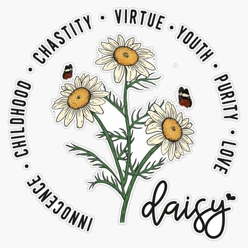 Daisy Vintage Positivity Sticker Vinyl Waterproof Sticker Decal Car Laptop Wall Window Bumper Sticker 5" in Saudi Arabia