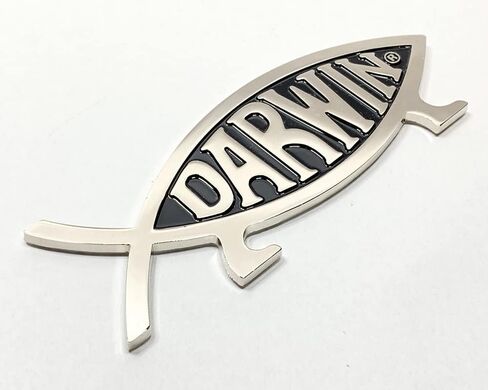 Metal Darwin Fish Car Emblem in Saudi Arabia