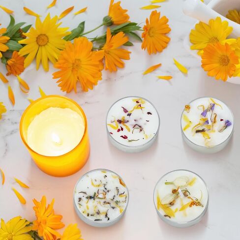 Honoson 12 Pack Blue Tea Lights Candles Blue Round Tea Light Natural Wax Scented 6 Scents Conversation Candle for Spring Easter Wedding Engagement Gifting Aromatherapy Anniversary Summer Home Decor in Saudi Arabia