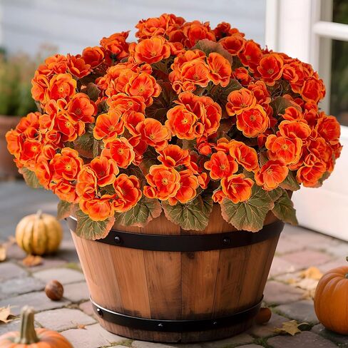 Artificial Geranium Flowers for Outdoors Decoration, Fake Silk Geraniums Flower UV Resistant Look Real Faux Plants for Spring Garden Porch Planter Patio Balcony Yard Table Centerpieces Decor in Saudi Arabia