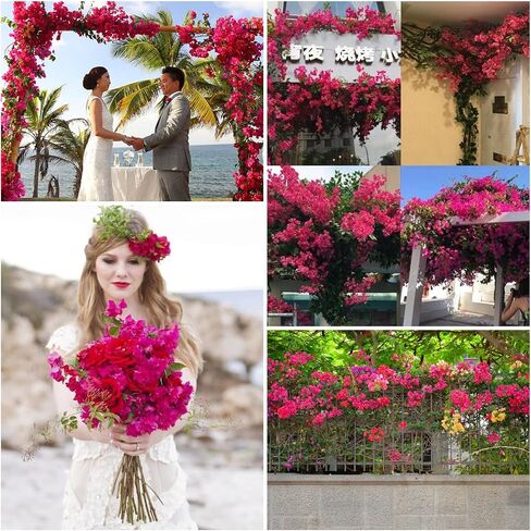 Pack of 16 Artificial Bougainvillea Silk Flower Stems Hanging Flower Vines for Wedding & Home Decoration, Flower Garland, Wreath and Garden DIY Decor - 30.5 inch (Violet Mix) in Saudi Arabia
