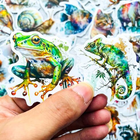 50 PCS Luna Moth Stickers Pack – Vintage Botanical Insect Bug Stickers for Scrapbooking, Journaling, Laptop, Aesthetic Waterproof Nature Moth Butterfly Vinyl Decals in Kuwait