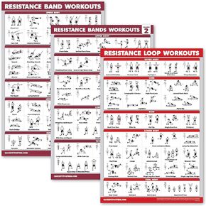 Palace Learning 3 Pack: Resistance Bands Workouts Volume 1 & 2 + Resistance Loops Exercises Poster Set - Set of 3 Workout Charts