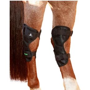 Classic Equine MagNTX Hock Wrap