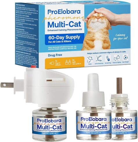 Cat Calming Pheromone Plug Diffuser: Enhanced Multicat Calming Pheromones Diffusers - Multi Cat Calm Anti Anxiety Pheromone Diffuser for Cats Stress Relief - Cats Calm Diffusers 1 Pack/60 Day Supply in Kuwait