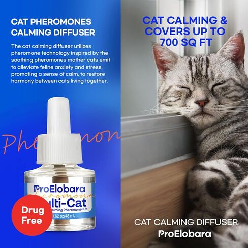Cat Calming Pheromone Plug Diffuser: Enhanced Multicat Calming Pheromones Diffusers - Multi Cat Calm Anti Anxiety Pheromone Diffuser for Cats Stress Relief - Cats Calm Diffusers 1 Pack/60 Day Supply in Kuwait