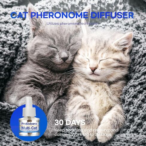 Cat Calming Pheromone Plug Diffuser: Enhanced Multicat Calming Pheromones Diffusers - Multi Cat Calm Anti Anxiety Pheromone Diffuser for Cats Stress Relief - Cats Calm Diffusers 1 Pack/60 Day Supply in Kuwait