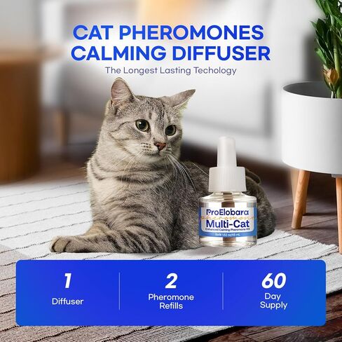 Cat Calming Pheromone Plug Diffuser: Enhanced Multicat Calming Pheromones Diffusers - Multi Cat Calm Anti Anxiety Pheromone Diffuser for Cats Stress Relief - Cats Calm Diffusers 1 Pack/60 Day Supply in Kuwait