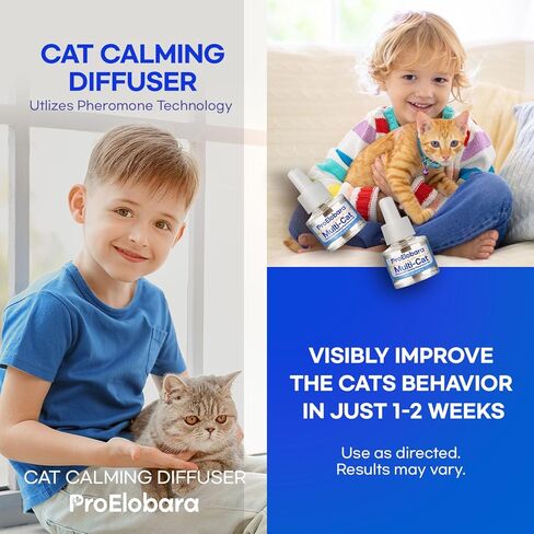 Cat Calming Pheromone Plug Diffuser: Enhanced Multicat Calming Pheromones Diffusers - Multi Cat Calm Anti Anxiety Pheromone Diffuser for Cats Stress Relief - Cats Calm Diffusers 1 Pack/60 Day Supply in Kuwait